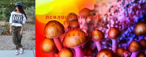 соль ск Алексин