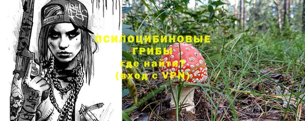 соль ск Алексин