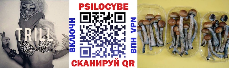 MEGA рабочий сайт  Рыбное  Псилоцибиновые грибы мицелий  купить наркотик 